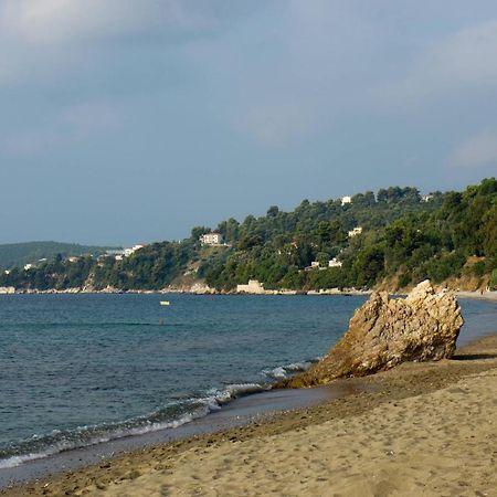 Aphrodite Skiathos Megali Ammos  Eksteriør billede