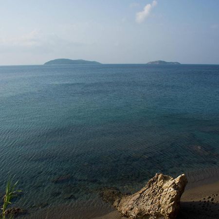 Aphrodite Skiathos Megali Ammos  Eksteriør billede