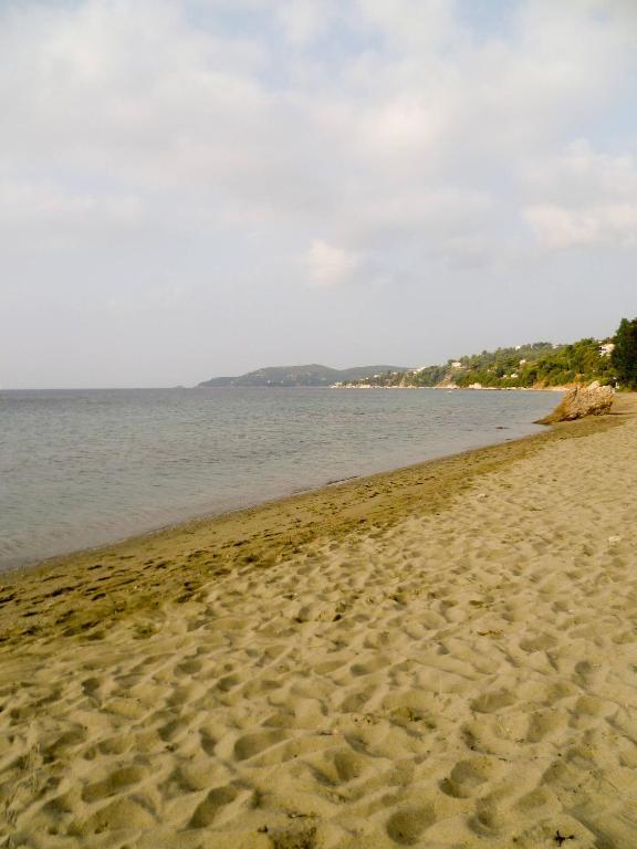 Aphrodite Skiathos Megali Ammos  Eksteriør billede